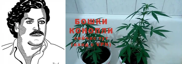 a pvp Пересвет