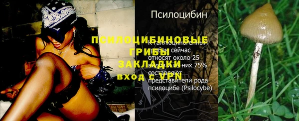 марки lsd Абаза
