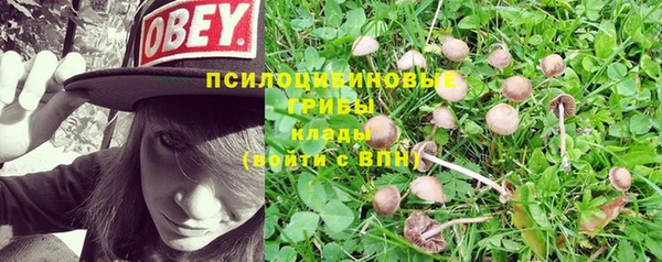 мяу мяу мука Алексин